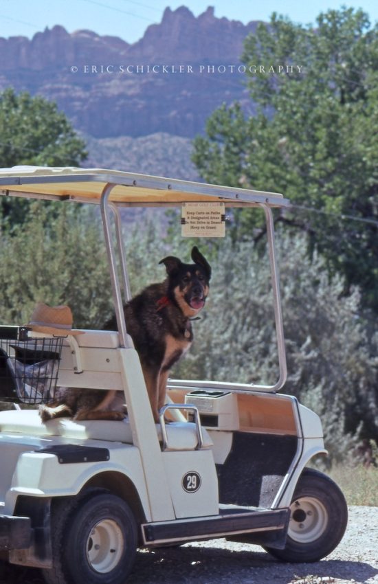 SASHA on Golf Cart- HI-RES- Moab